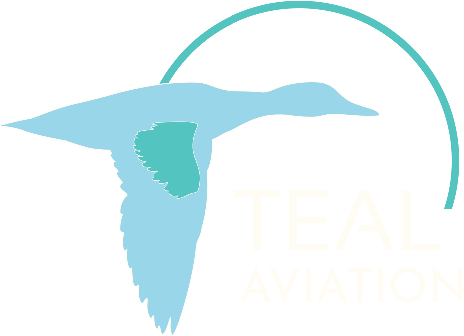 teal aviation logo